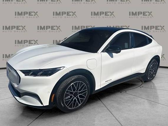 FORD MUSTANG MACH-E 2024 3FMTK3S51RMA23164 image